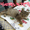 座り心地いいでちゅ