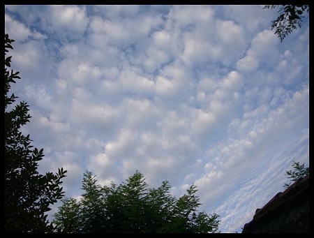 P1670306