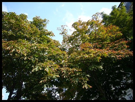 P1700063