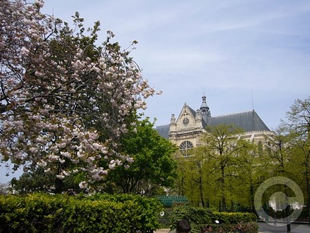 P1520775