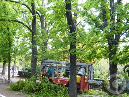P1520537