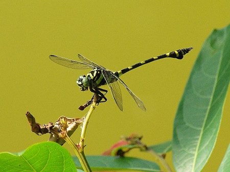 IMGP48064_R