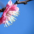 Photos: 春の日差し