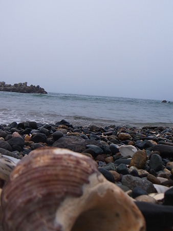 R0014656