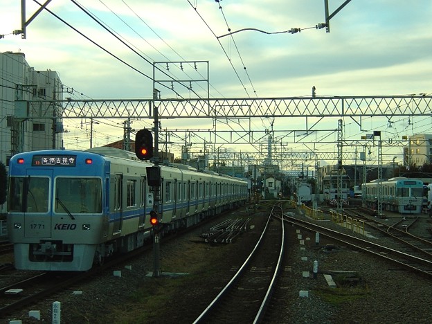 新車同士並ぶ｡