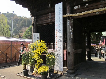 高幡不動 山門 菊まつり
