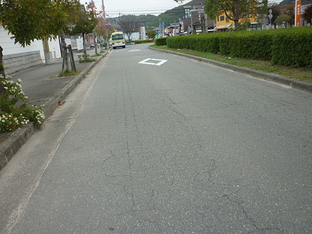 P1010549