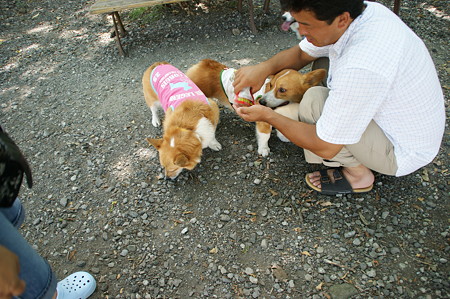 DSC01266