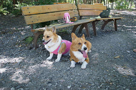 DSC01290