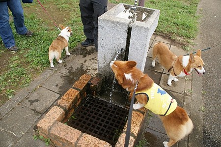DSC02070