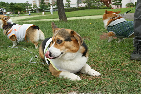 DSC02318