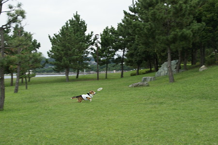 DSC02325