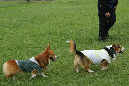 DSC02351