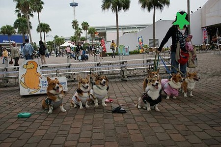 DSC02606