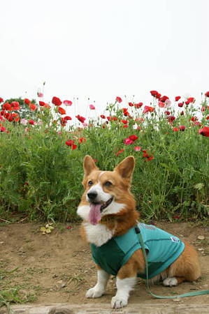 DSC05536