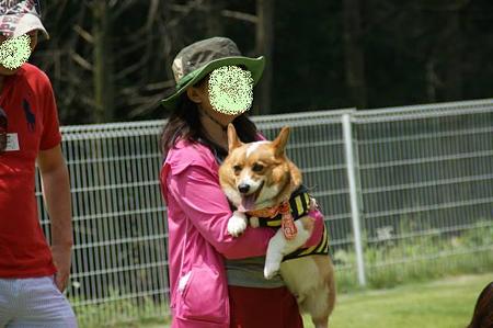 DSC05969