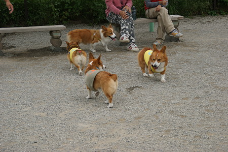 DSC02749
