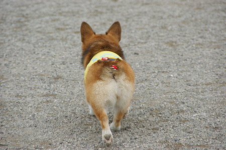 DSC02762