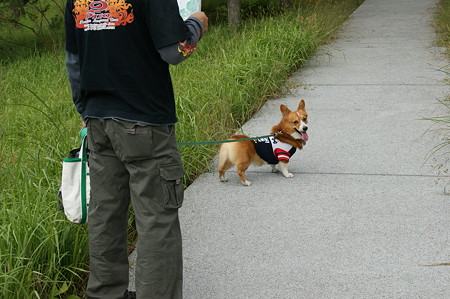 DSC02961