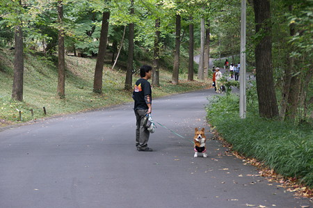 DSC02971