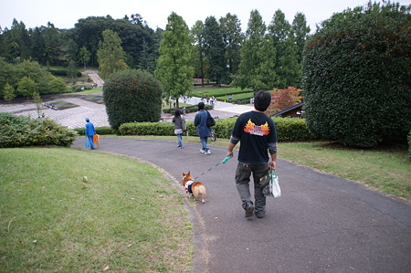 DSC03164