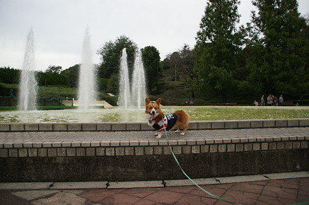 DSC03174