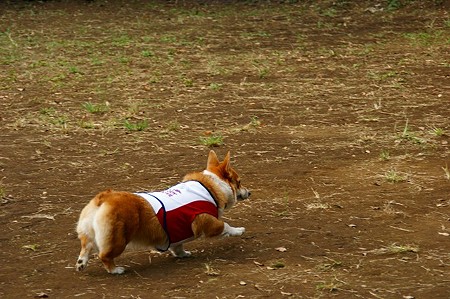 DSC03352