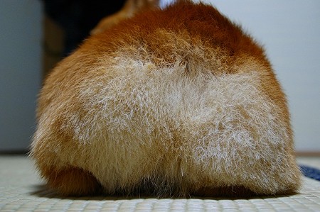 DSC03460