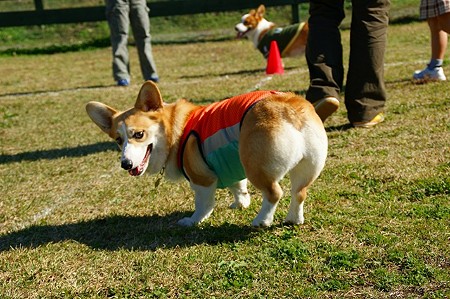 DSC03524
