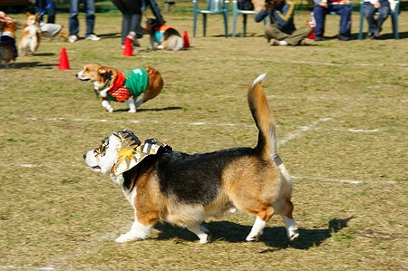DSC03666