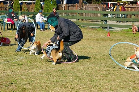 DSC03804