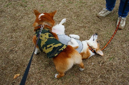 DSC04072