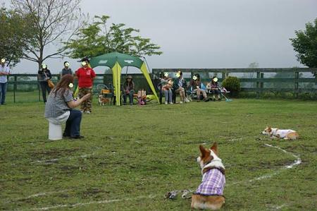 DSC01362