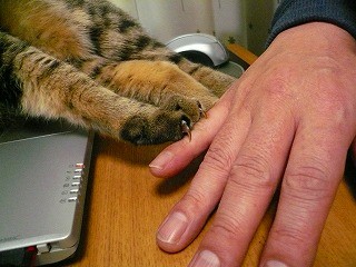 みーちゃんP1070879