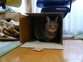 みーちゃんP1080829