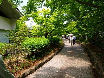 京都宇治P5042781