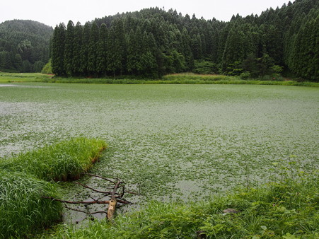 P6170003