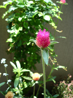 20080720_02