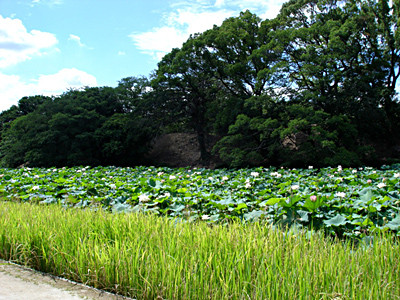 20080812_03
