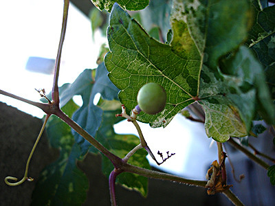 20080816_03