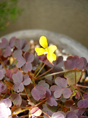 20081015_02