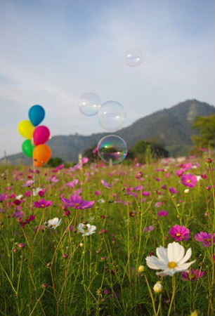 IMGP6650_1010