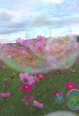 IMGP8660_1023