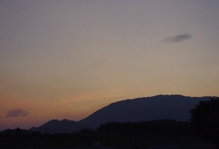 IMGP8103_1016