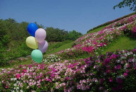 IMGP0546_0505