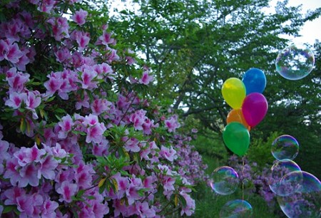 IMGP0936_0506