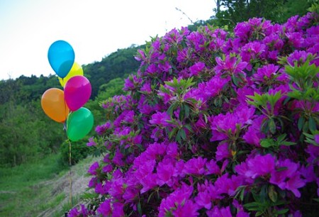 IMGP0946_0506