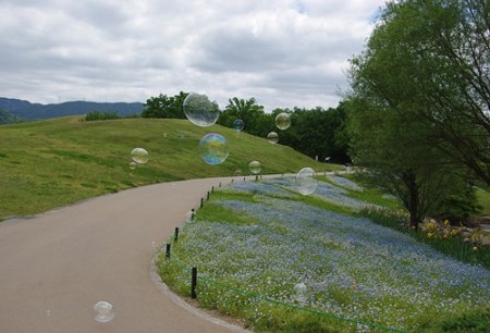 IMGP1754_0512