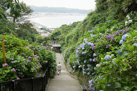 DSC02748
