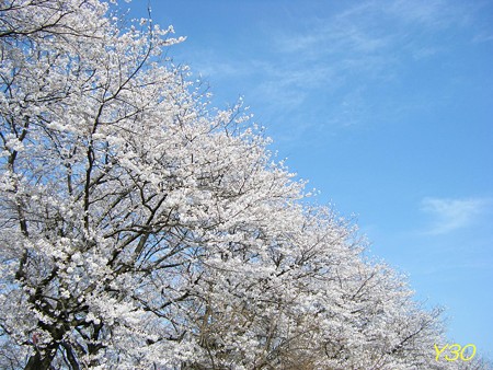 DSCF6523_P